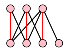 SE Networks